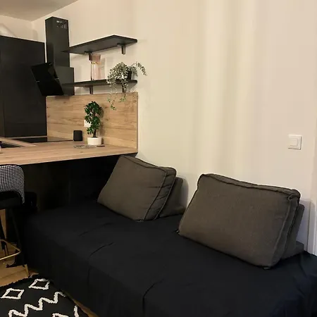 Appartement 2 Pieces Standing Entre Disneyland Et Paris *