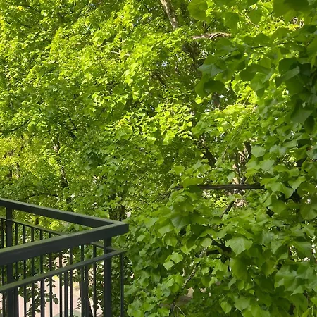 Appartement 2 Pieces Standing Entre Disneyland Et Paris